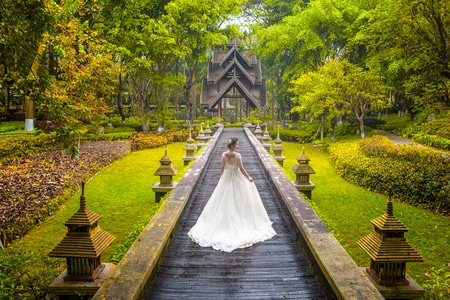 婚纱-人像-婚礼-你好2020-女性 图片素材