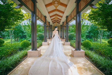 色彩-婚纱-婚礼-新娘-女性 图片素材