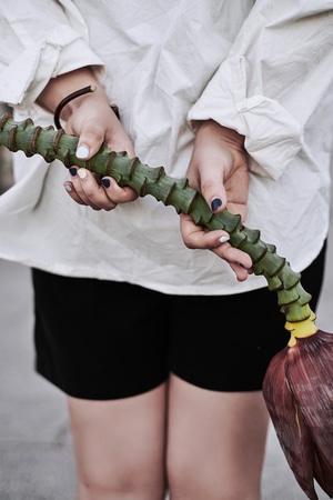 人像-写真-植物-花-大王蛇 图片素材