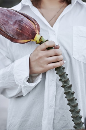 人像-写真-植物-花-长袍（礼服） 图片素材