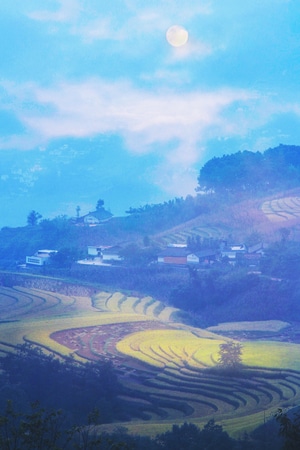 一镜知秋-武汉大学-风景-田-梯田 图片素材