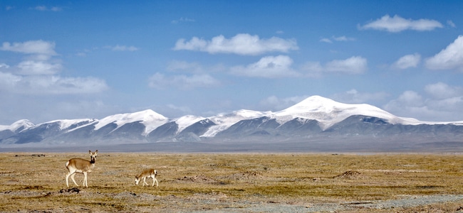 纪实-旅行-风光-风景-山 图片素材