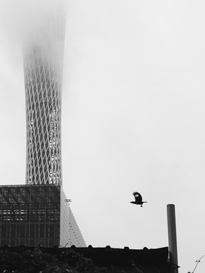 手机-手机摄影-黑白-光影-建筑 图片素材