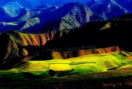 风景-卓尔山-油菜花-山-光影 图片素材