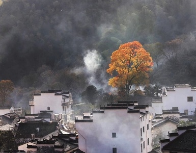 石城-秋色-房屋-石城-村庄 图片素材