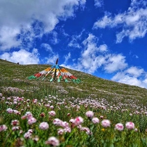 旅行-风景-旗帜-经幡-云 图片素材
