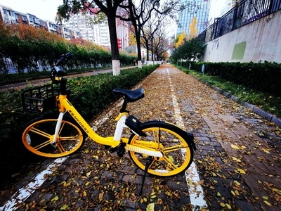 手机-街拍-城市-北京-秋日物语 图片素材