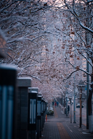 城市-冬天-北京-雪-生活 图片素材