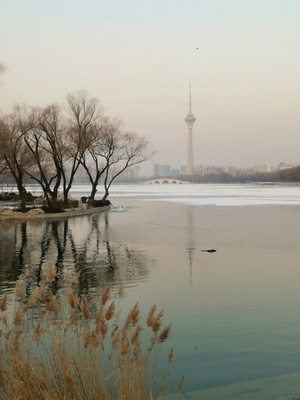 城市-冬天-北京-公园-手机 图片素材