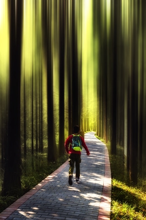 自然-树林-一个人-森林-旅行 图片素材