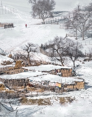 白雪-北国雪景-中国画意-简洁-纯粹 图片素材