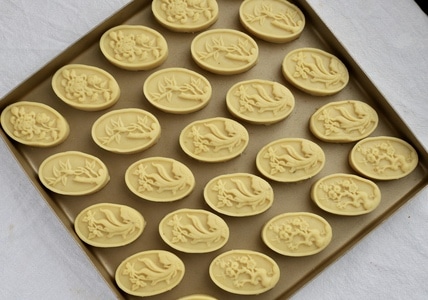 纪实-记录-静物-人间百味-宅家 图片素材