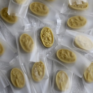 纪实-记录-静物-人间百味-宅家 图片素材