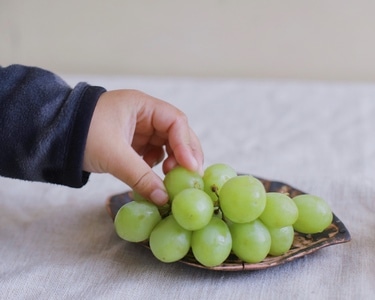 人像-人物-人间百味-宅家-纪实 图片素材