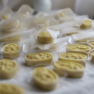 纪实-记录-静物-人间百味-宅家 图片素材