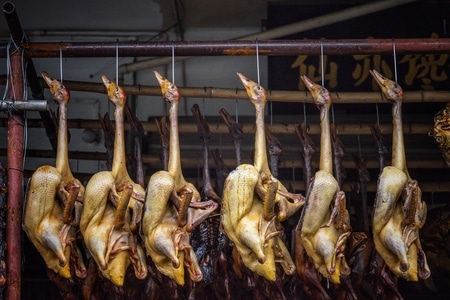 安昌古镇-屋檐下面看年成-食物-美食-烤鸭 图片素材