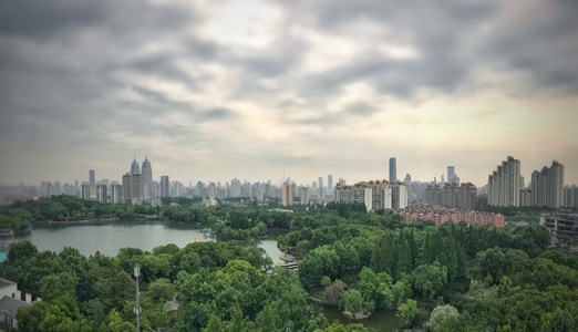上海市-远眺长风公园-城市-城市风光-树 图片素材