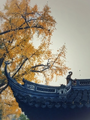 桂林公园-秋韵-房屋-屋檐-飞檐 图片素材