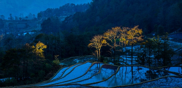 我的2019-野外-风光-风景-梯田 图片素材
