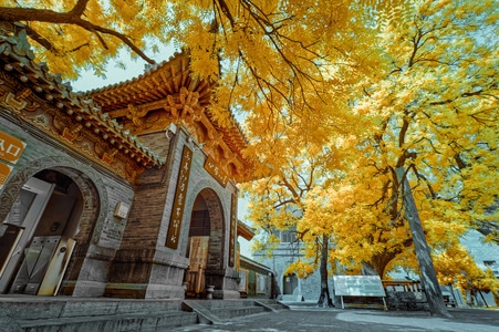 建筑-历史-古都-洛阳-周公庙 图片素材