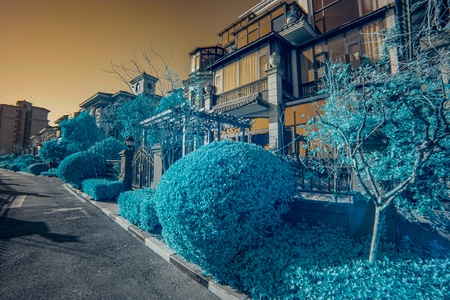 红外摄影-住宅-建筑-树-阳光 图片素材