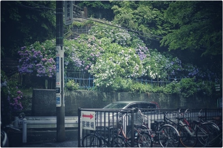 日本-镰仓-海滨城市-治愈-镰仓 图片素材