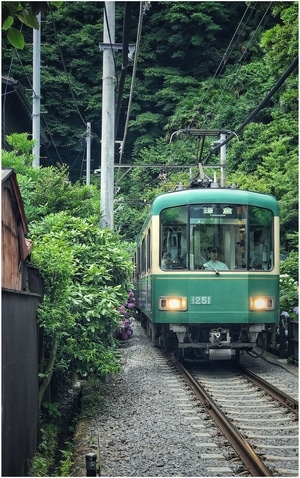 日本-镰仓-海滨城市-治愈-火车 图片素材