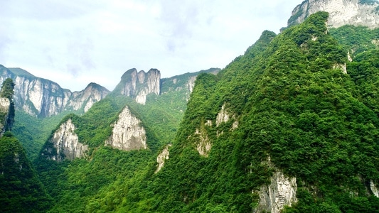 张家界市-航拍-森林-山-山峰 图片素材