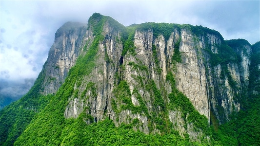 张家界市-航拍-森林-山-山峰 图片素材