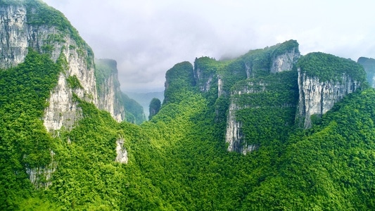 张家界市-航拍-森林-自然-风景 图片素材