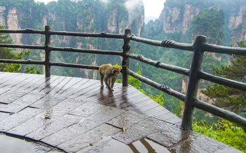 旅行-风光-张家界-世界自然遗产-护栏 图片素材