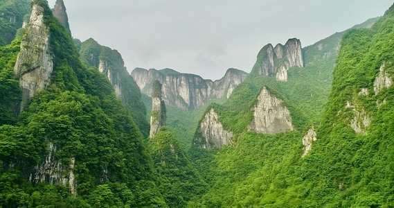 张家界市-航拍-森林-自然-风景 图片素材