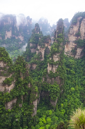 风光-旅行-张家界-世界自然遗产-风景 图片素材