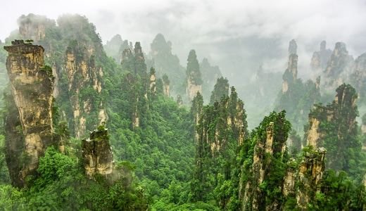 风光-张家界-旅行-世界自然遗产-风景 图片素材