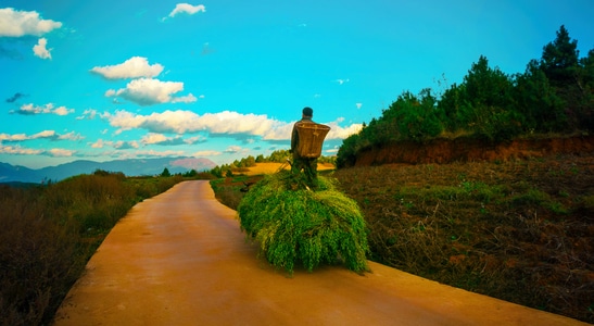 旅行-风光-纪实-道路-小路 图片素材