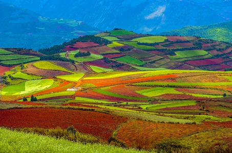 风光-旅行-云南-红土地-风景 图片素材