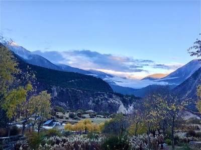青藏高原-西藏-林芝-风光-风景 图片素材