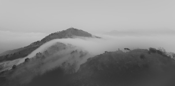 雾-平流雾-户外-山峰-平流雾 图片素材