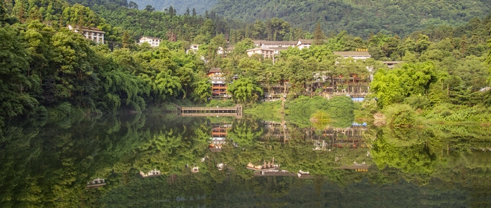 森林-清凉-绿色-峨眉山-自然 图片素材