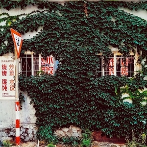 路边摊-城市色彩-尘世烟火-手机摄影-我要上封面 图片素材