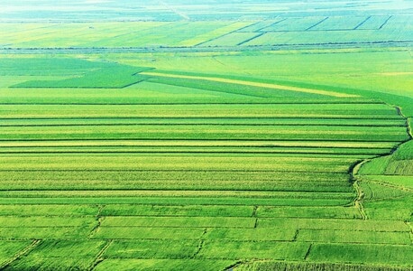 你好中国-风光-三江平原-农业-田地 图片素材