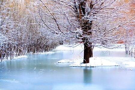 光影-宅家-家乡-雪-公园里的风景 图片素材