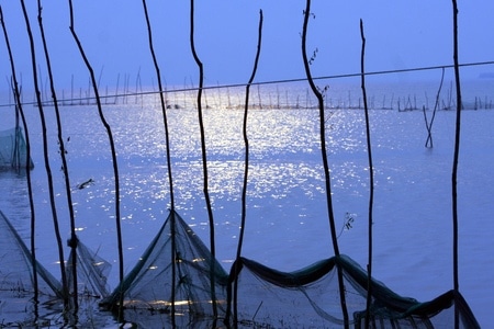 三江平原-风光-光影-链状栅栏-自然 图片素材
