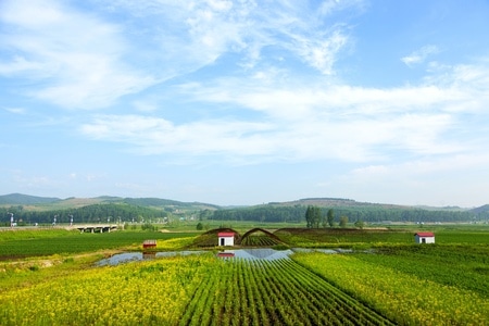 风光-旅游-云朵-新农村-田地 图片素材