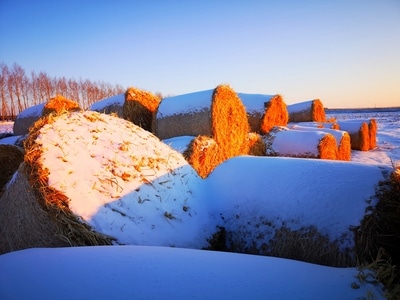 光影-你好2020-冬雪-季节-沙漠 图片素材