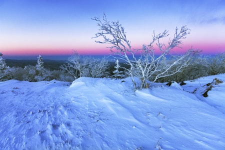 7日打卡挑战-小景-旅游-山峰-雪山 图片素材