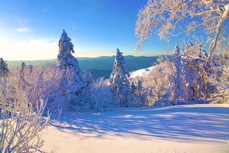 你好2020-冬雪-风光-雾凇-山峰 图片素材