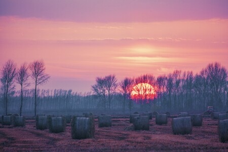 风景-农业-随拍-日落-日出 图片素材