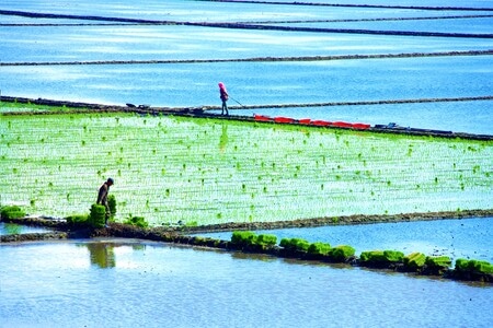 你好中国-纪实-光影-三江平原-农业 图片素材
