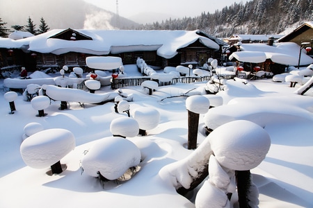 你好2020-雪乡-光影-风光-旅游 图片素材
